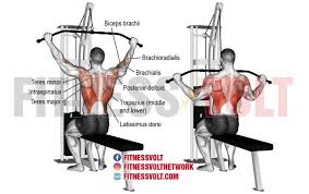 Wide Grip Lat Pull Down Lats Exercise Guides And Videos