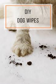 diy dog wipes homemade quick cleaning