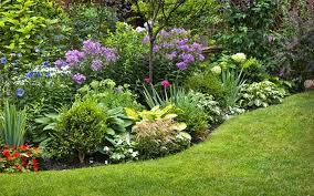 perennial garden design