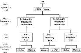 Organizational Structure Of The Building Interdisciplinary