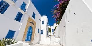 acheter un bien immobilier en tunisie