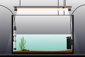 Best Aquarium Heaters The Ultimate Guide To Picking The