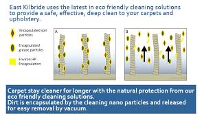 our eco friendly carpet cleaning