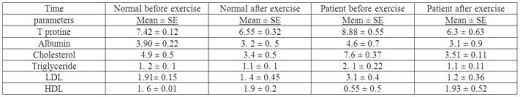 Effects Of Daily Exercise On Cholesterol And Hypertension In