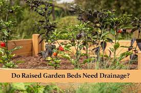 do raised garden beds need drainage