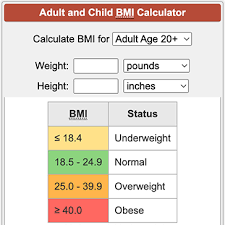 Bmi Calculator Mass Index