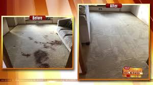 meyer carpet cleaning