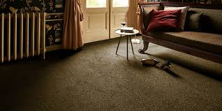 brown carpet carpet by aw ociated