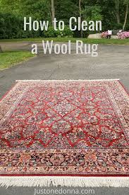 diy and effective rug cleaning