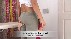 pelvic floor physio examination