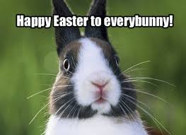 20-Funny-Easter-Facebook-Status-Quotes-Updates-2015-3.jpg via Relatably.com