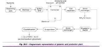 Microbial Production Of 7 Types Of Amino Acids
