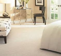 triexta sorona carpet excellent stain