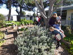 pomeroy elementary garden rooted in