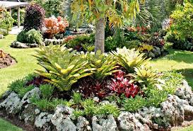 how to plan a tropical garden