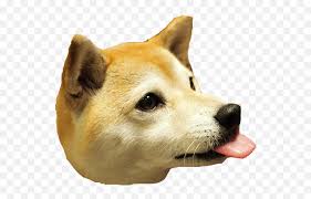 This file was uploaded by user: Baby Doge Png