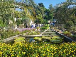 the botanical garden of padua the