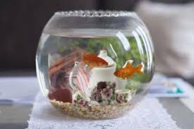 For those of you who have made. Fish Tank Decoration Ideas Using Everyday Items Lovetoknow