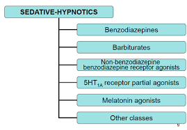 sedative hypnotic and anxiolytic s