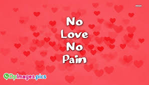 We have an extensive collection of amazing background images carefully chosen by our community. No Love No Pain Quotes Wallpaper 934x534 Download Hd Wallpaper Wallpapertip