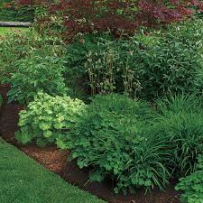 Perfect Edges For Your Garden Beds