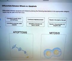 solved diffeiate between apoptosis