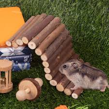 sofier hamster toys hamster accessories