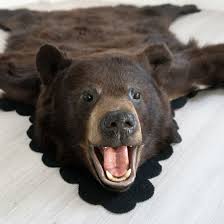 at auction black bear taxidermy rug