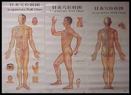 China The New Acupuncture Wall Chart V 1 China Chart Of