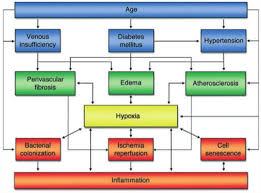 Medscape Flow Chart Advanced Oxygen Therapy Inc