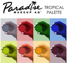 paradise makeup aq 8 color magnetic