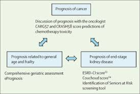 older patients with advanced cancer