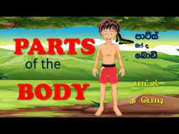 Internal body parts name with pictures. Parts Of The Body In English Sinhala Taml Youtube