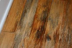 repair water and oil stains on wood
