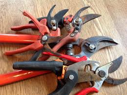 clean and sharpen your garden shears