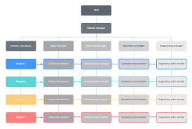 7 Types Of Organizational Structures Lucidchart Blog