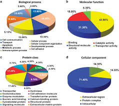 Pie Chart Depicting The Functional Classification Of