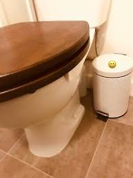 Strongest Wobbly Toilet Seat Loose Loo