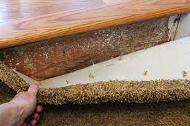 how to remove carpet on stairs storables