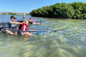 Kayaks, kayaking, guided kayak tour, st. The Top 5 St Petersburg Kayaking Trips W Prices