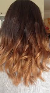 I dyed it with ion permanent lavender, and turned out blue green sliver. Blonde And Brown Dip Dyed Hair Uncategorized Appealing Dip Dye Hair Color Ideas Hairstylo Pic Of Blonde And Brown Blonde Dip Dye Brown Hair Dye Dip Dye Hair