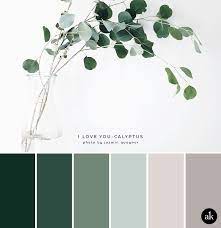 A Eucalyptus Inspired Color Palette