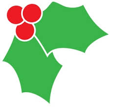 Image result for christmas holly