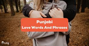 punjabi love words and phrases 20