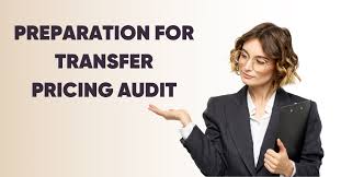 Preparation for transfer pricing audit - TaxCoach
