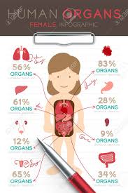 Infographic Female Human Organ Set Doctor Writing Paper Chart