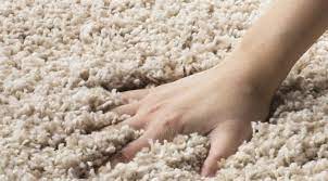 frieze twist carpets