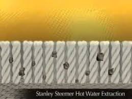 stanley steemer carpet cleaning you