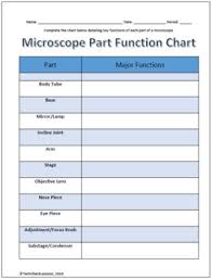 Parts Of A Microscope Labeling Functions Worksheet Science
