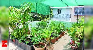 Terrace Gardens With Organic Farming A